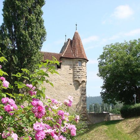 איפהופן Weingut Gaestehaus Weigand מראה חיצוני תמונה