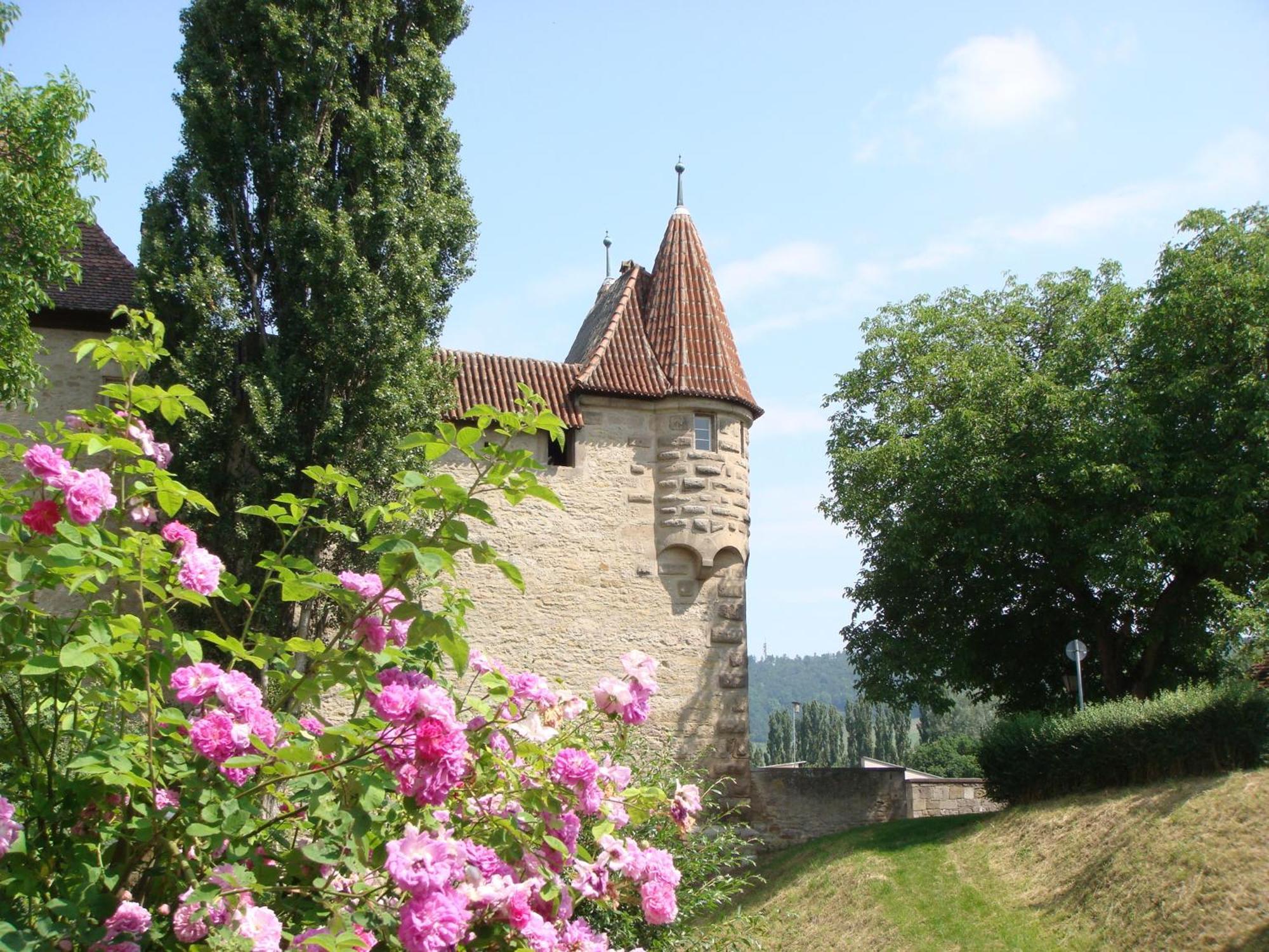 איפהופן Weingut Gaestehaus Weigand מראה חיצוני תמונה